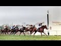 Kramer bets on the 2013 Melbourne Cup - YouTube