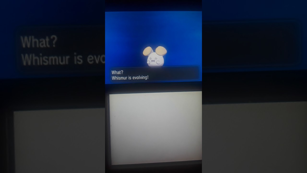 Pokemon Y: Exploud complete evolution