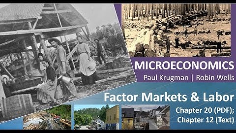 AP Microeconomics Chapter 20 Overview - Factor Markets (and Labor)