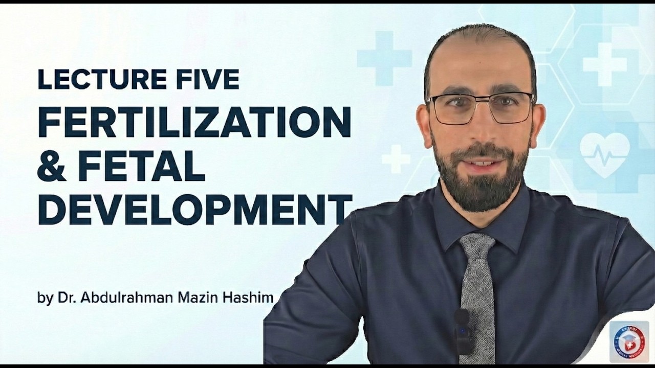 عملية الاخصاب وتطور الجنين  Fertilization & Embryonic Development