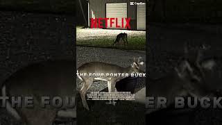 Famous Four pointer Wealth