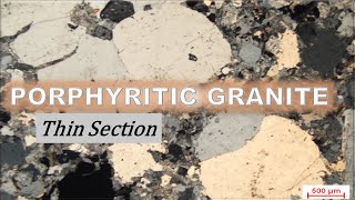 Famous Porphyritic Granite | Thin Section Study (PPL & XPL) – Quartz, Feldspar & Biotite Net Worth