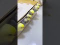 ご飯の時間#セキセイインコ  #インコのいる生活 #インコ