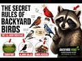 THE SECRET RULES OF YOUR BACKYARD (Explained by a Raccoon)