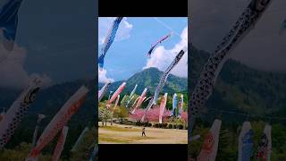 Download Lagu my random photo in Japan #japan #lumix #lumixgx85 MP3