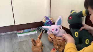 Building Our Robot Eevee