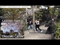 葉っぱマン【ドッキリ】 Leaf Man Pranks 18 -Okazaki Castle - SAKURA / Part 2
