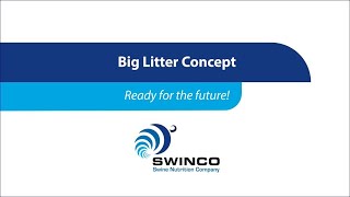 Swincos Big Litter Concept En