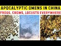Apocalyptic Omens Over China: A Sky Weeping Blood, a Plague of Frogs, Swarms of Birds