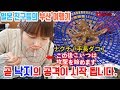 산낙지 먹방/ 한국 횟집 처음 가 본 일본인 반응 - 일본 친구들의 부산 여행 E11