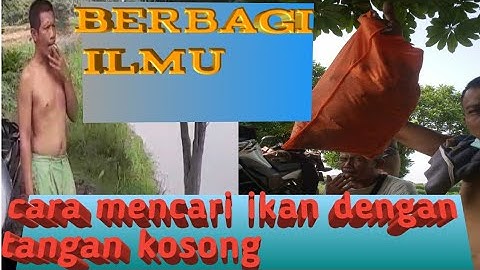 Berbagi ilmu bagaimana cara menangkap ikan dengan tangan kosong di dalam danau