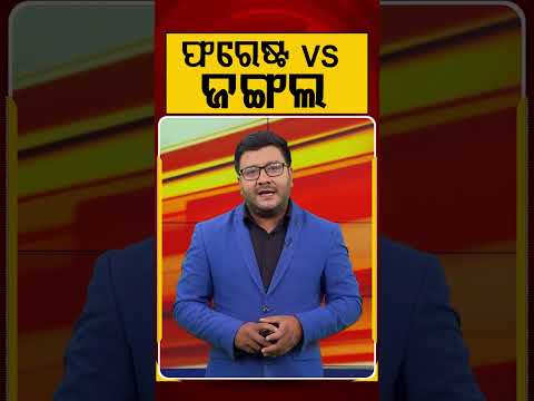 ଫରେଷ୍ଟ vs ଜଙ୍ଗଲ | Argus Reels | Forest Vs Jungle | Argus News