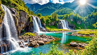 Download Lagu Relaxing Music Soothes The Nervous System and Refreshes the Soul 🌱 Music Heals the Heart and Mind MP3