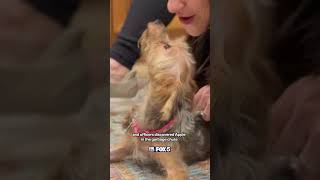 Dog found after being thrown down garbage chute at DC apartment complex