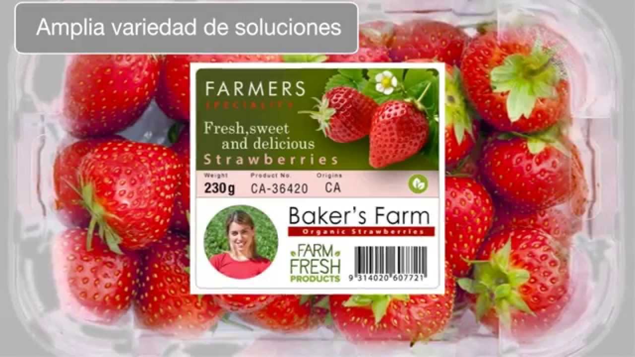Impresora de Etiquetas Epson ColorWork TM-C3500 - YouTube