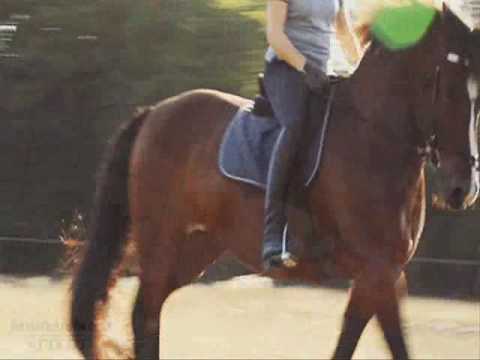 Bryan Ferry Slave To Love Instrumental 