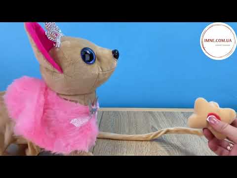 Маленька м'яка іграшка песик Чихуахуа в сумочці Кишенькова собачка щеня на повідку ходить співає Випадковий колір, видео 1