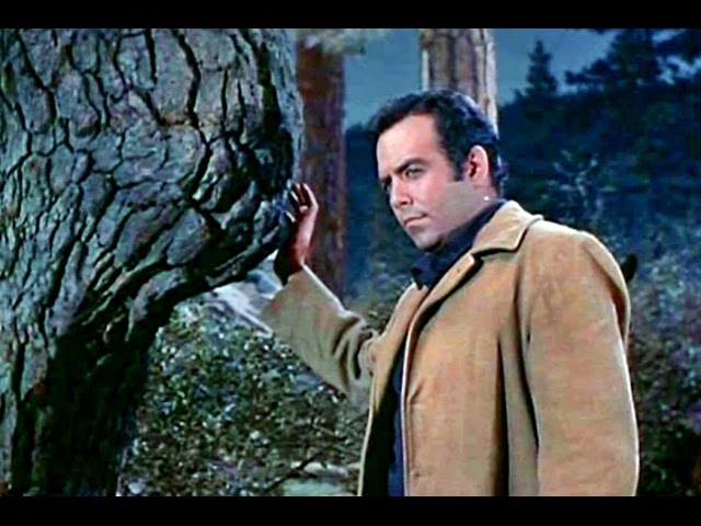 Pernell Roberts - "In the Pines" - With Lyrics