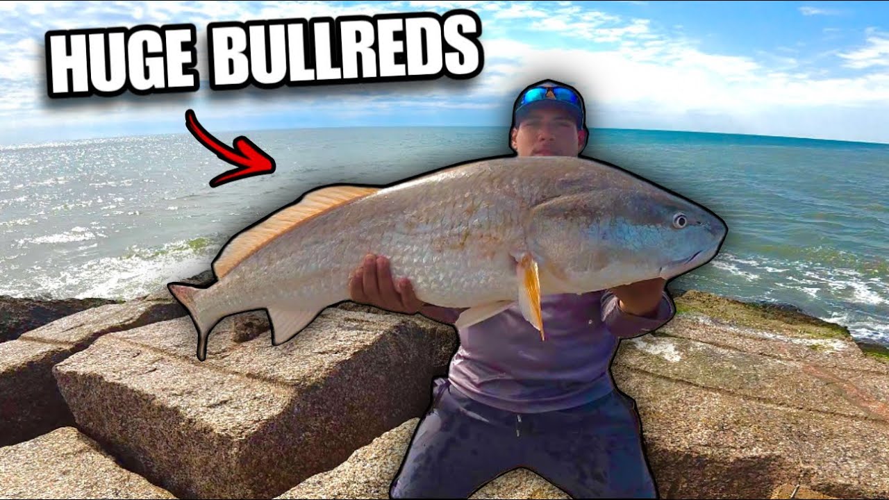 Tossing Big Lures for GIANT Bullreds at The Jetty!! - Vlogmas 13 - YouTube