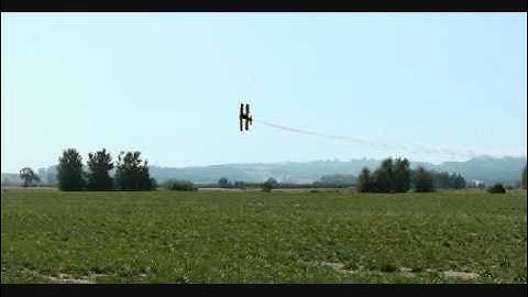 Python Flight by Logictor