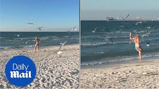 Woman offering chip to seagull is chased by hungry flock - Daily Mail