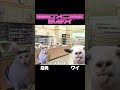 【ミーム】深夜のコンビニ店員に恋したロリオタプー Part1 #ミーム