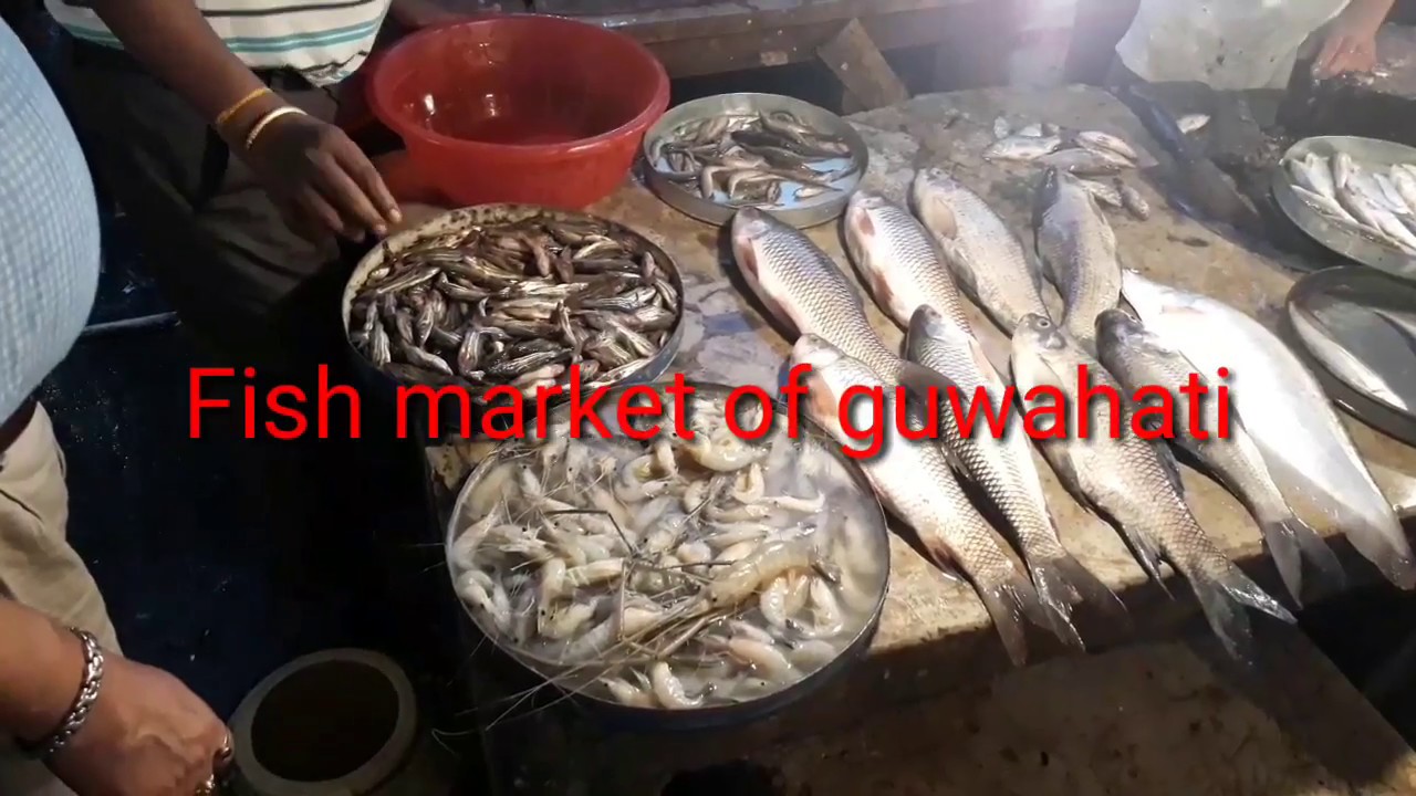 Guwahati Fish MarketWholesale marketGuwahati YouTube