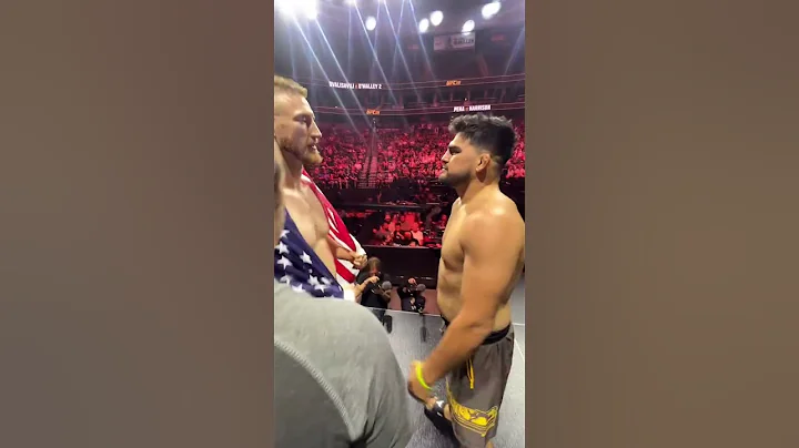 Kelvin Gastelum vs. Joe Pyfer: UFC 316 Face-off