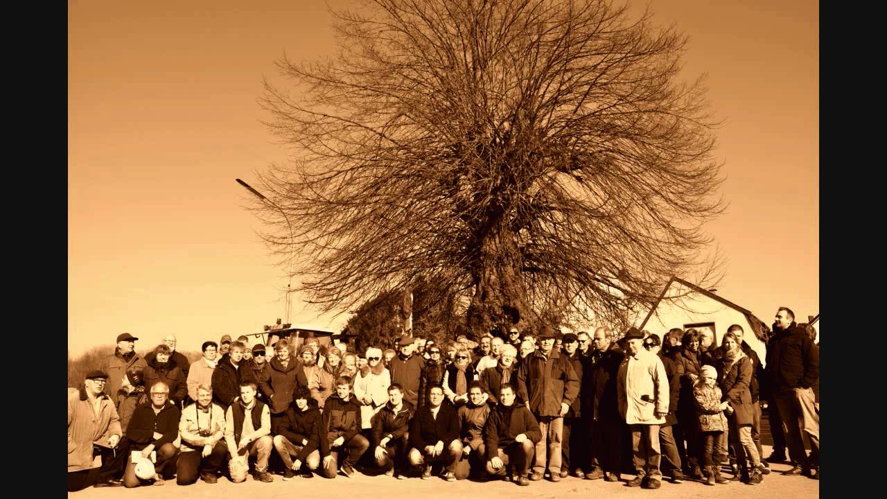 Abschied von der Borschemicher Linde