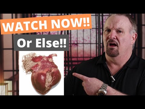 Natural heartworm treatment