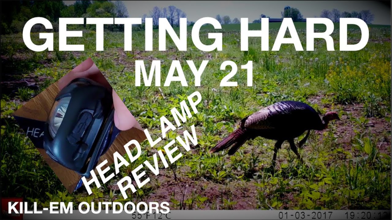 Hard Turkey Hunting (May 21) Headlamp Review YouTube