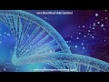 Akira Ito - Japanesque = Side B (1981) - YouTube