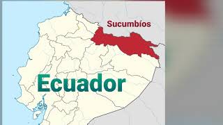 Testimonios de mujeres de la FMS sobre la emergencia por el COVID-19