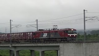 【東北本線】2016.7.25 EH500 1 牽引貨物列車