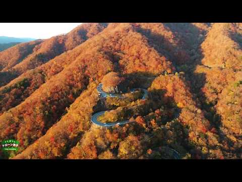 「日光 いろは坂！」ドローン 空撮 絶景 【栃木県 紅葉】4k drone footage japan