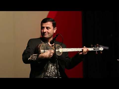 Zabit Nabizade, Voice of Azerbaijan, Live in Concert, FAJR Music Festival