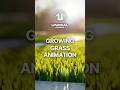 Unreal Engine growing Grass animation Effect for 1 min Tutorial #realtimeanimation #unrealengine