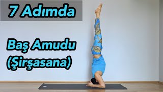 Baş Amudu Nasıl Yapılır? Şirşasana