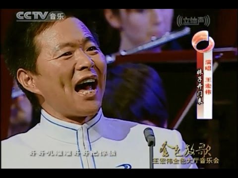 妹子开门来   陕北民歌    王宏伟演唱    李心草指挥