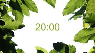 20-minute countdown timer, calm nature theme for meditation, focus time, exercise...