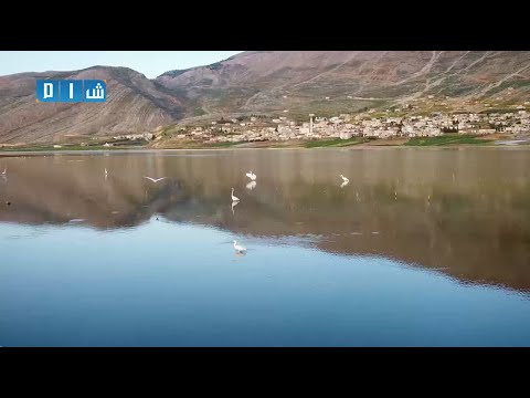 سحر الطبيعة في سهل الغاب كما لم تشاهده من قبل