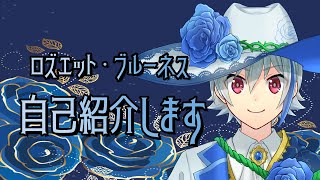 「【Vtuber】皆さん、初めまして！！【自己紹介】」のサムネイル