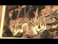 Intarsia - Art from Wood, with Tom Kuldinski Part 1 Intarsia - Art from Wood, with Tom Kuldinski Part 1