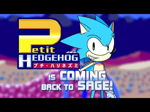 Petit Hedgehog
