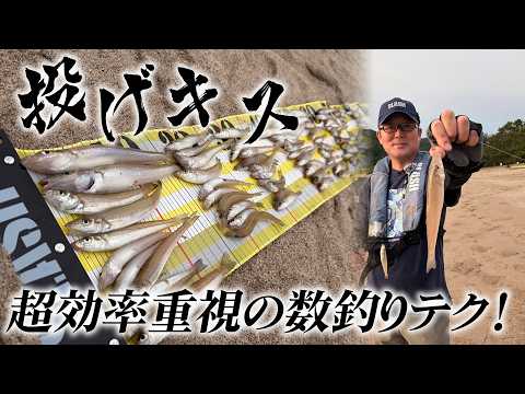 おまけ付き　アングラー・シリーズ　新技法による川の小物釣り YouTube