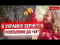 Погода в Украине принесет потепление и солнце - дата