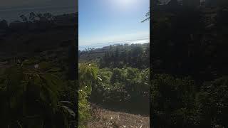 Incantation After The Storm Darkness Lifts And Im Left In Lemony Light. Burch