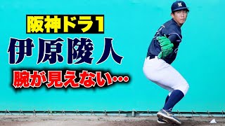 阪神ドラ1・伊原陵人…出どころが見えない究極のフォーム