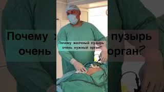 Маленький , но очень важный орган- желчный пузырь!!!
