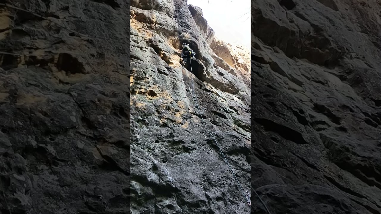 城山ワイルドボア ダスキン多摩